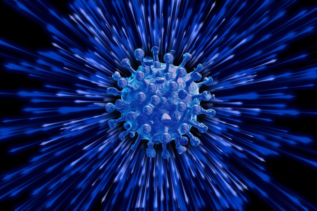病毒细胞