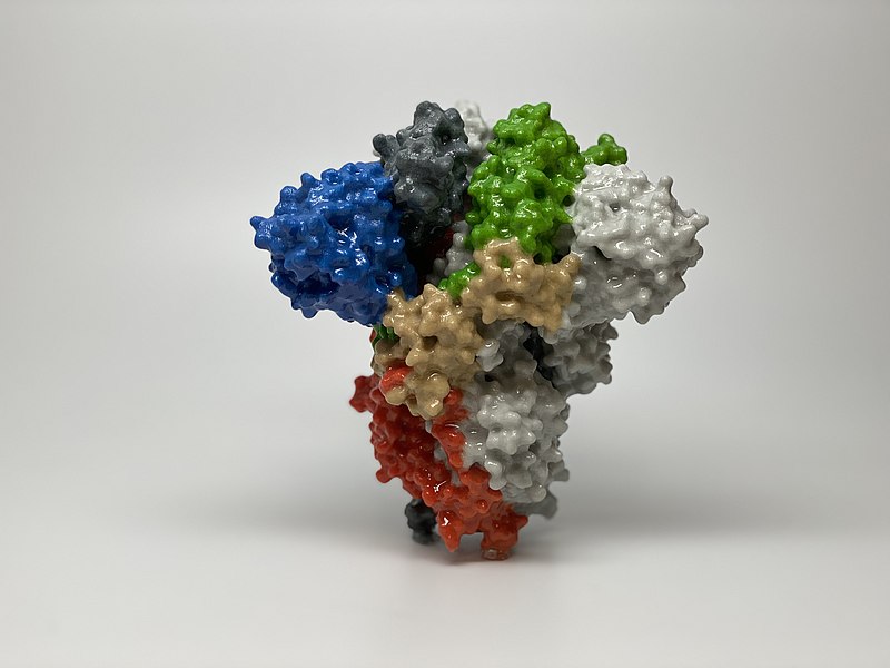 Terapia con nanoanticorpi la proteina Spike