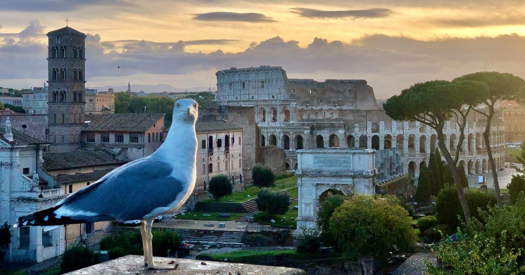O Parque Arqueológico do Coliseu