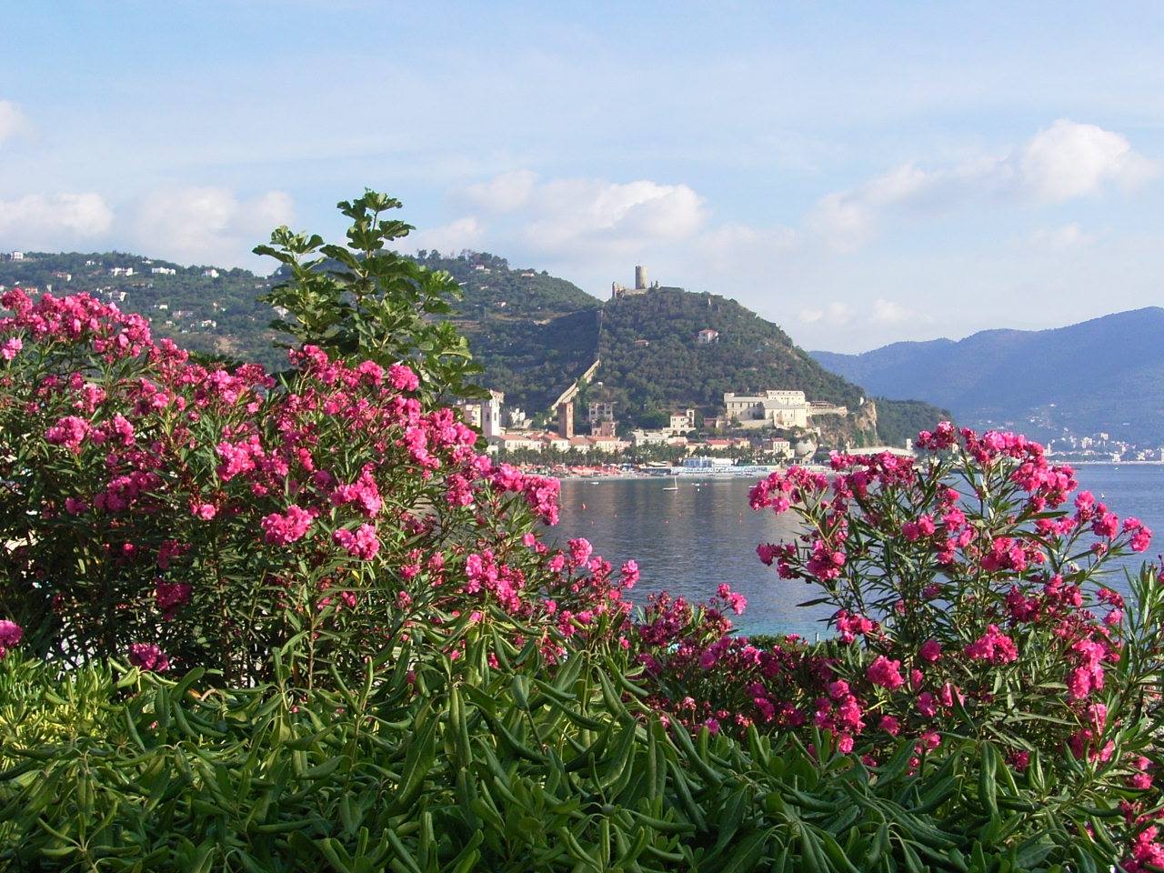 Noli