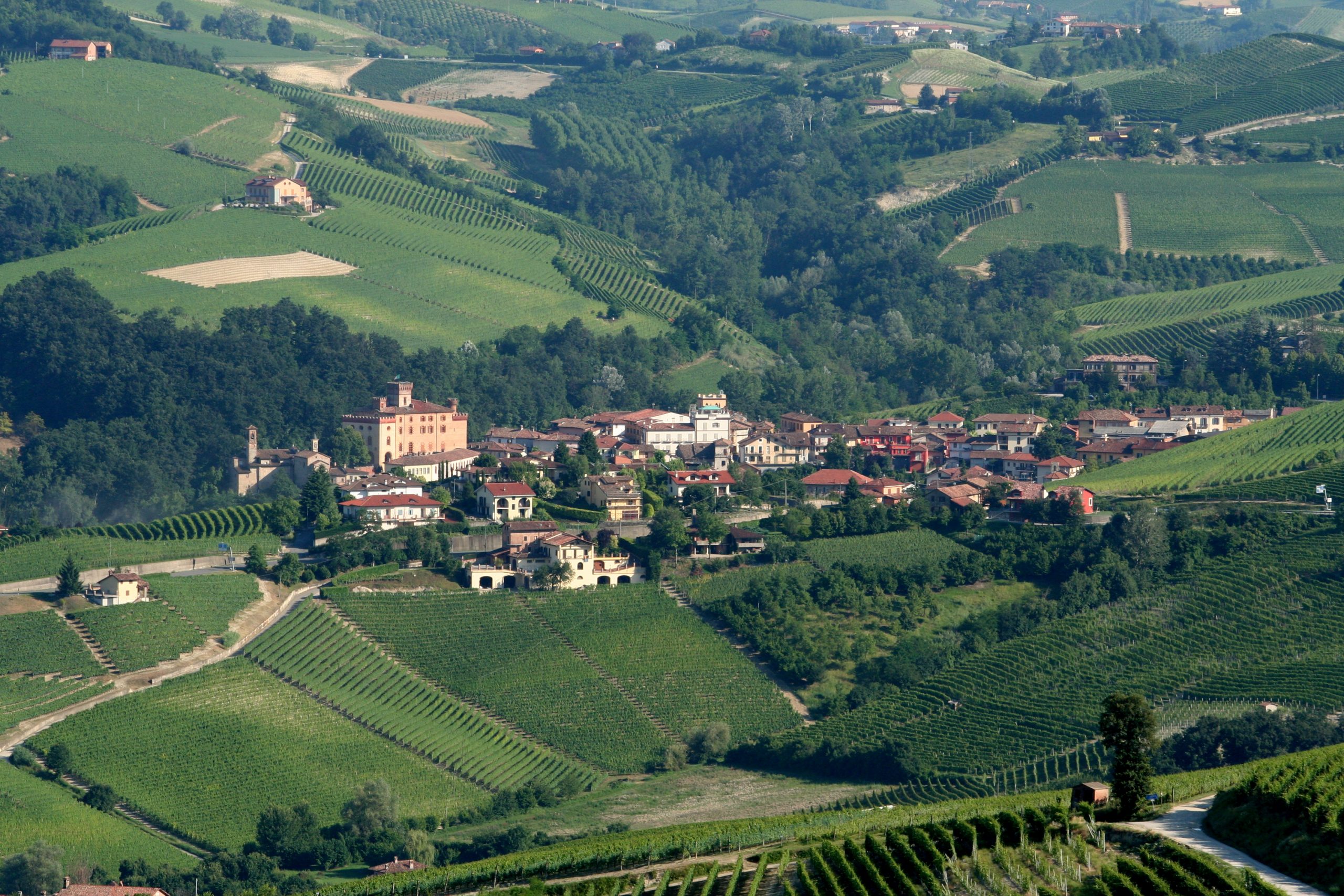 Vista su Barolo - Piemonte