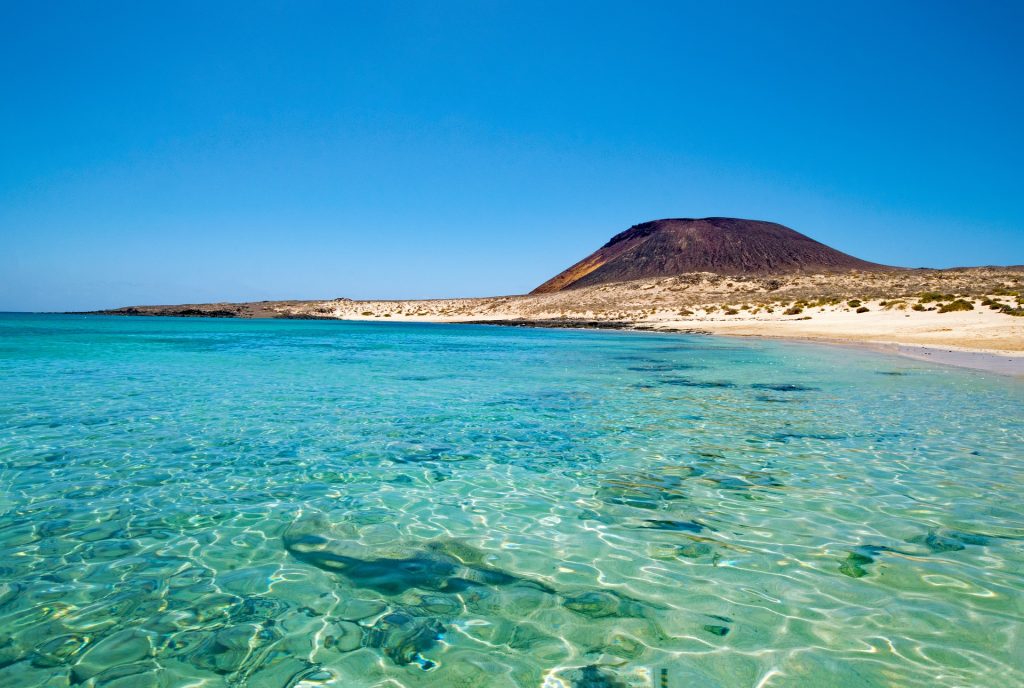 Canarie