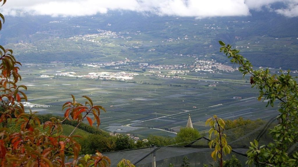 Route des vins de Cortaccia - vue sur la route