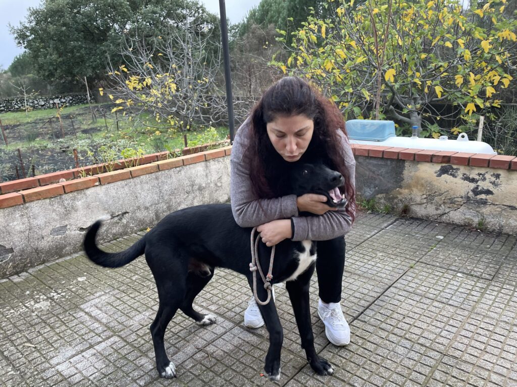 Padrona e cane