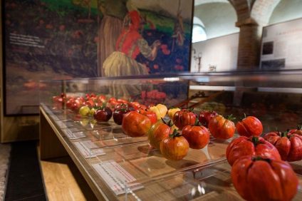 Tomato Museum