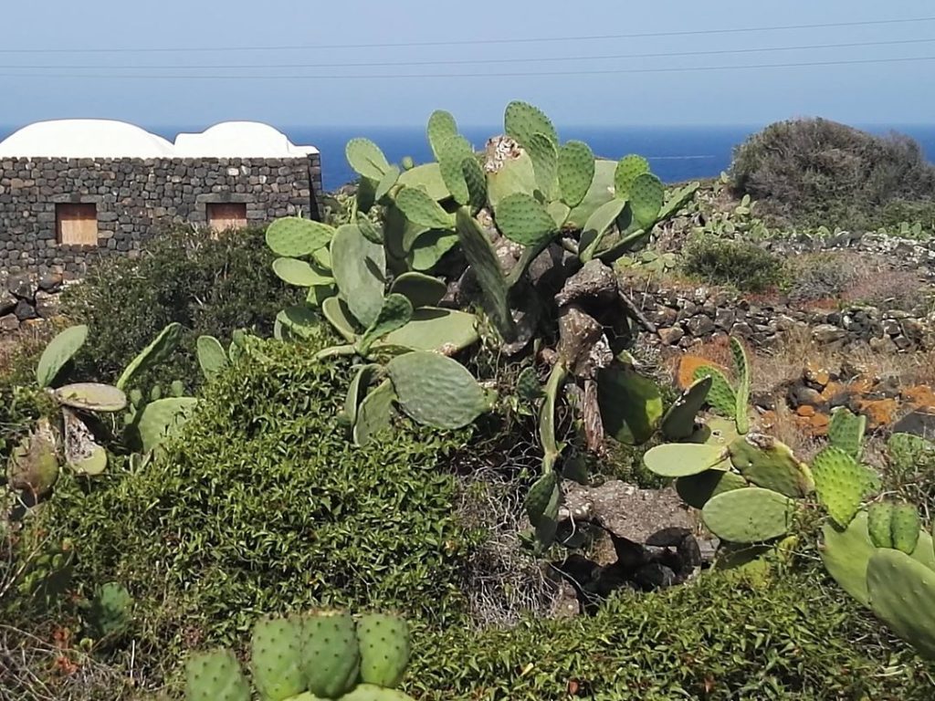 i dammusi di pantelleria