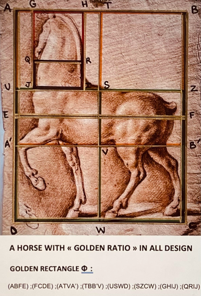 Cavallo ideale di Leonardo da Vinci - numero aureo
