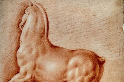 Detail Ideal horse by Leonardo da Vinci