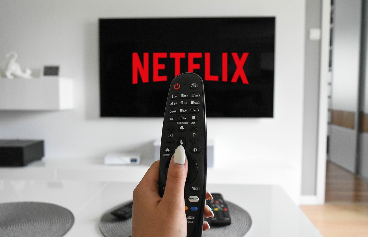 Zuwächse bei Netflix und anderen Plattformen