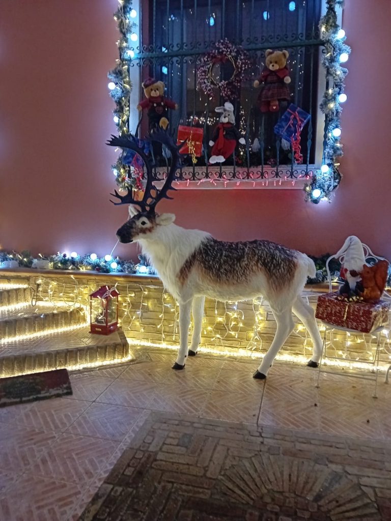 Santa's house, reindeer