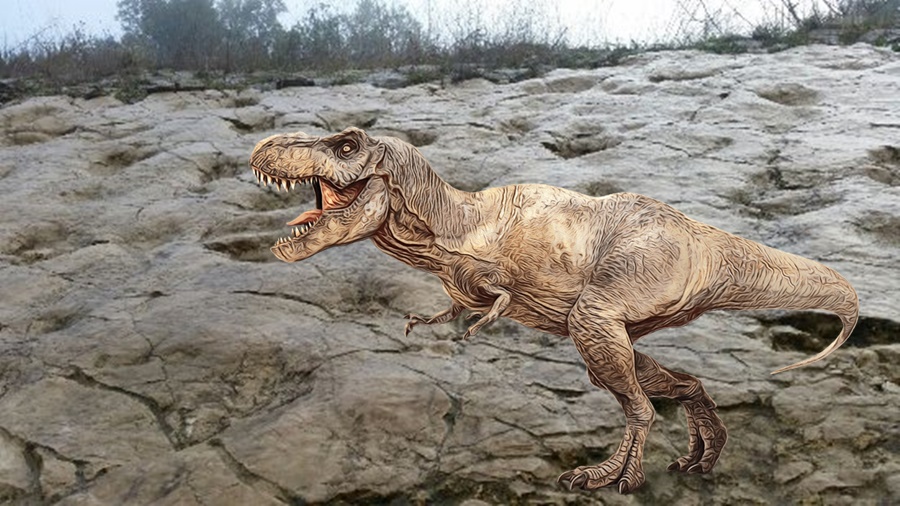 I dinosauri di Sezze - Jurassic Park in foto