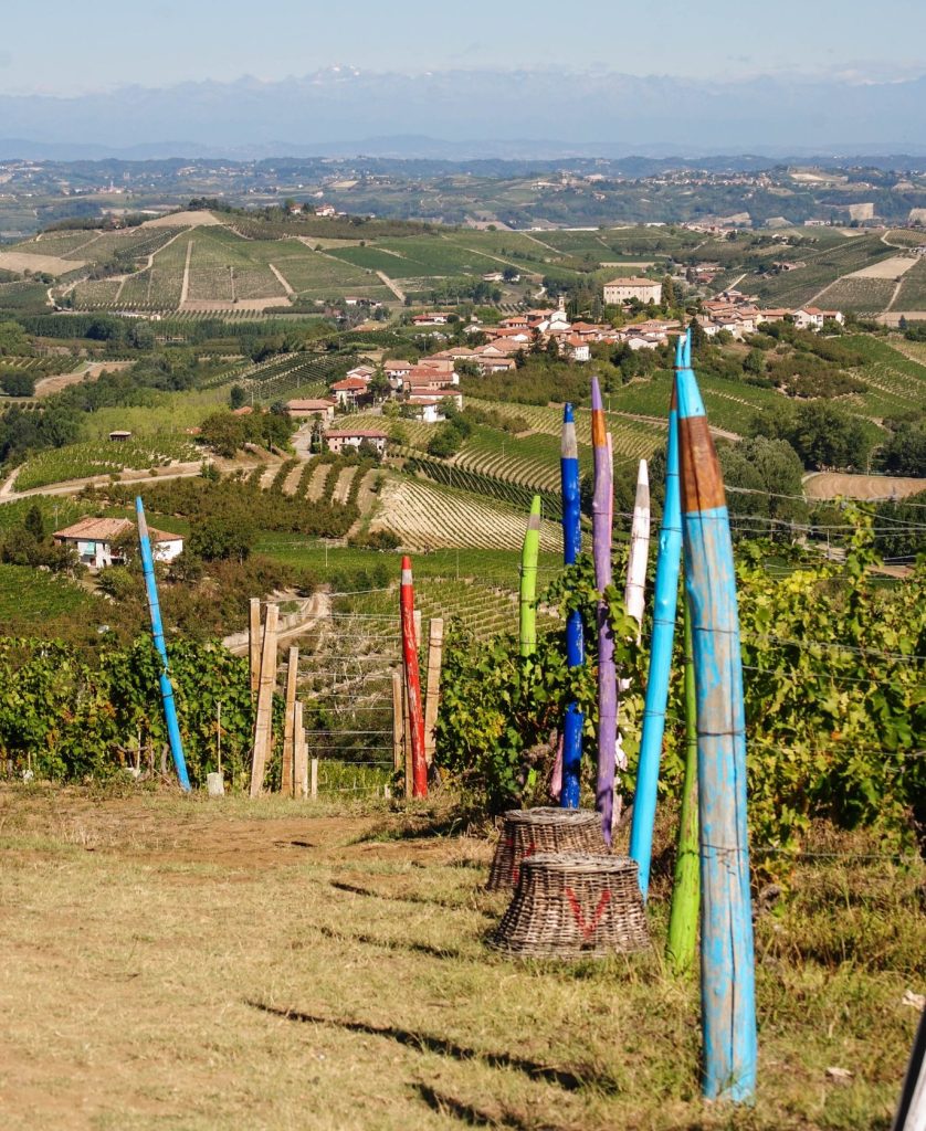 "Pastel Vineyard", panorama