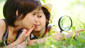L'immagine rappresenta due bambini che stanno cercando nell'erba gli insetti da studiare