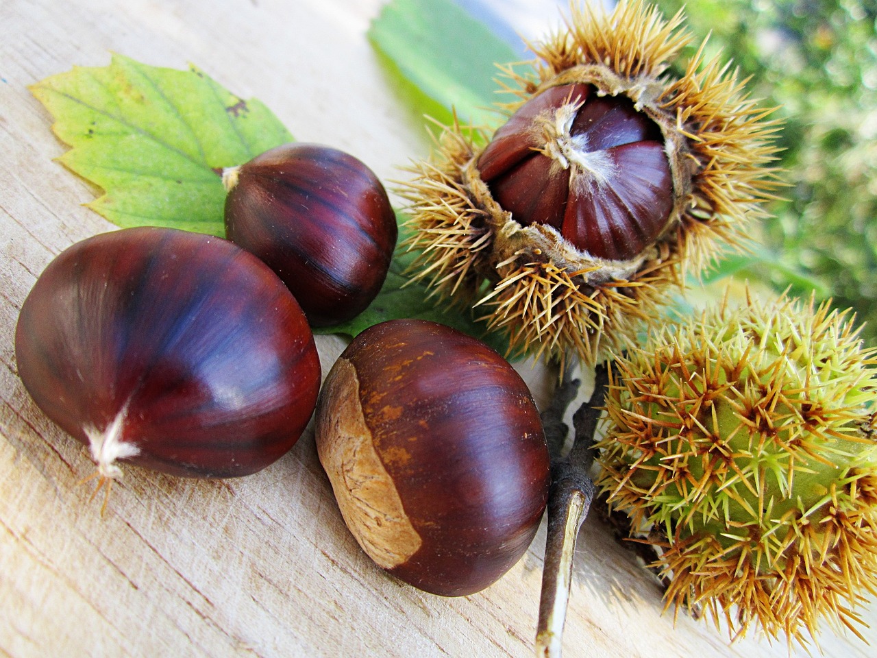 Zuppa ceci e castagne alla toscana