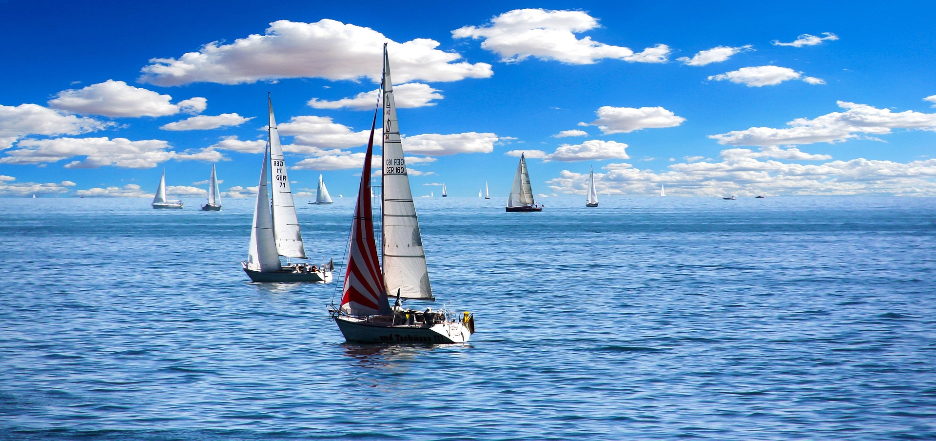 Segelbooturlaub mit Tieren