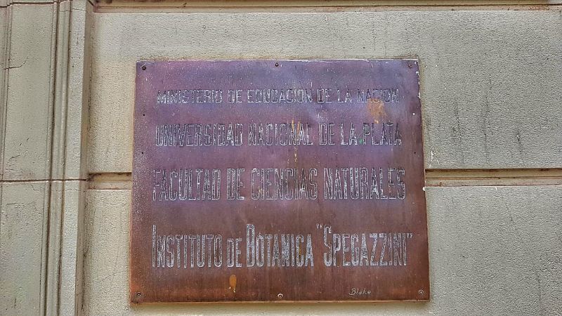 Cientifico italiano