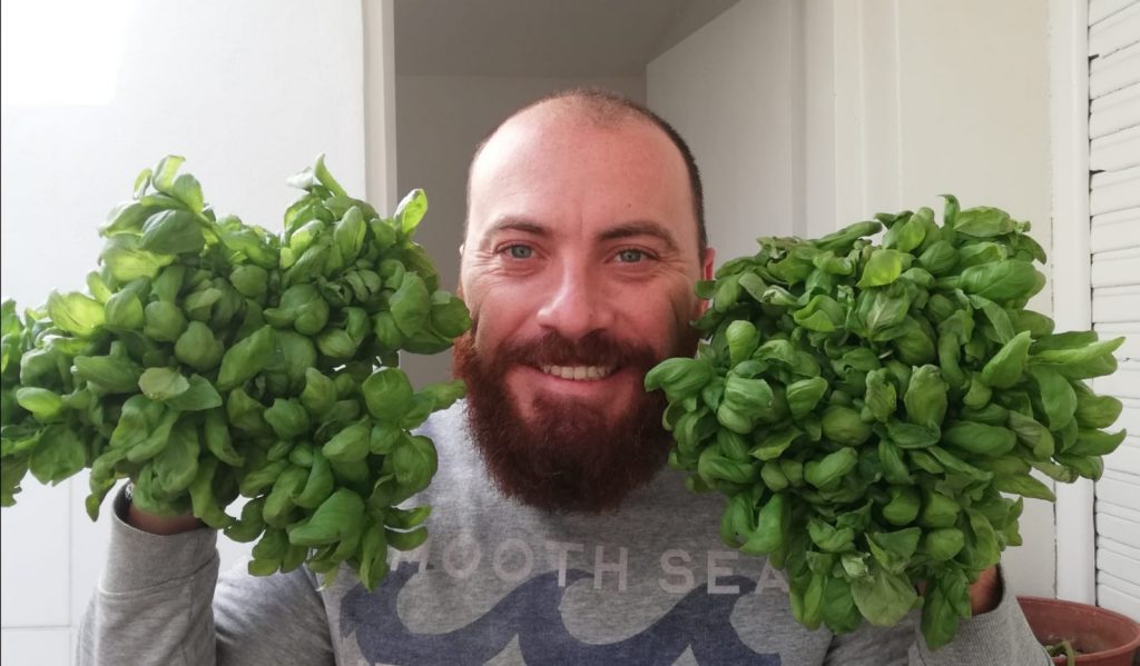 Marco Maresca - Albahaca para el pesto