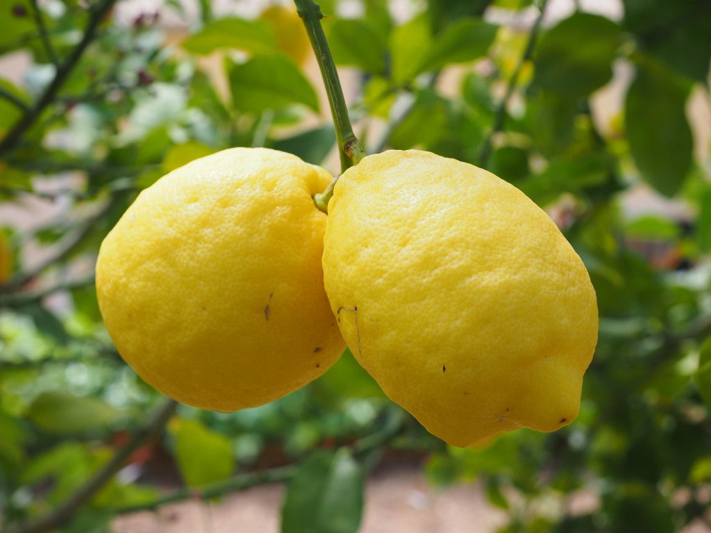 Granita siciliana - Limoni