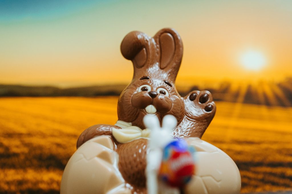 Conejo de Pascuas - Conejo de chocolate