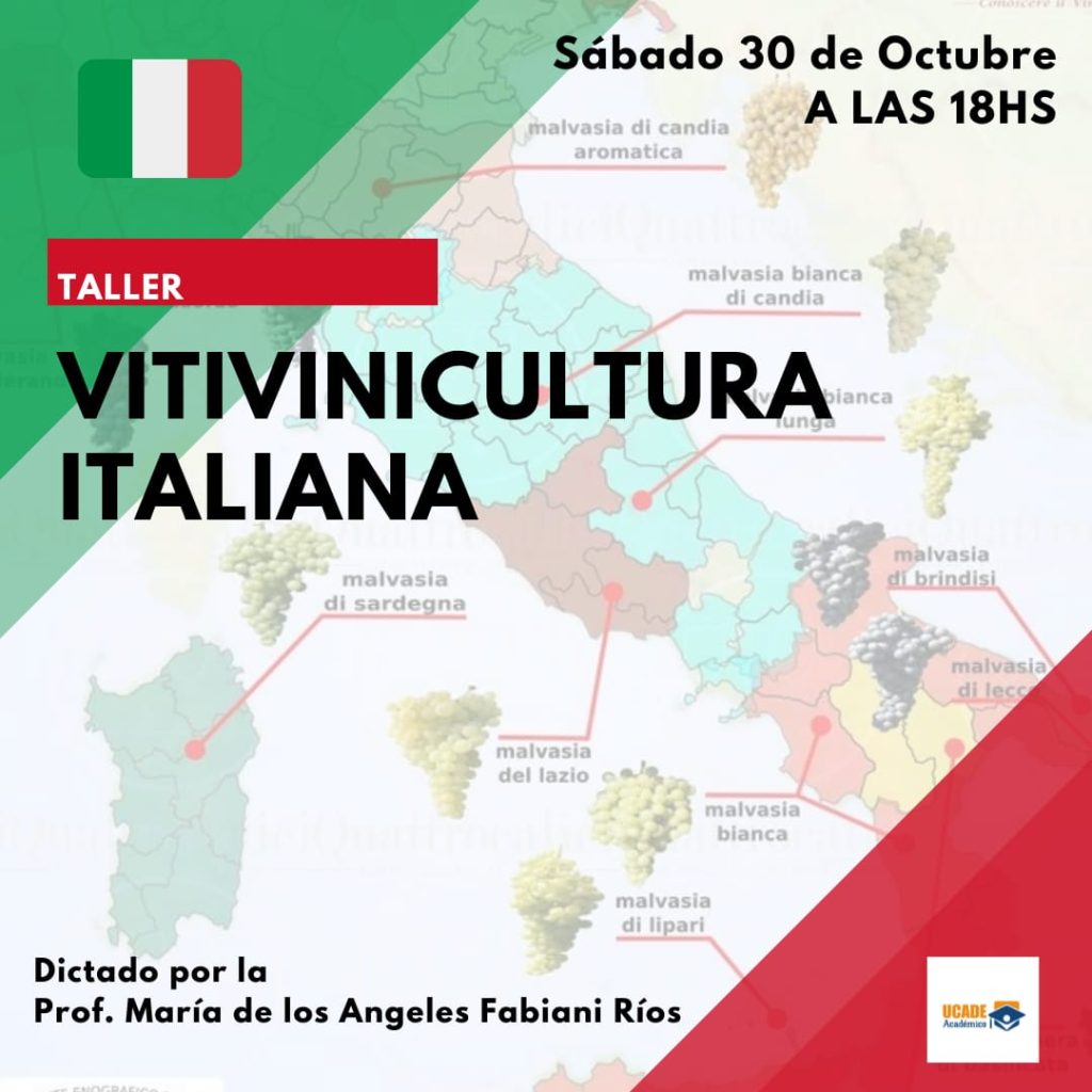 Taller De Vitivinicultura Tres