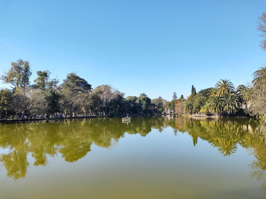 El Bosque Platense - El Bosque Platense Uno