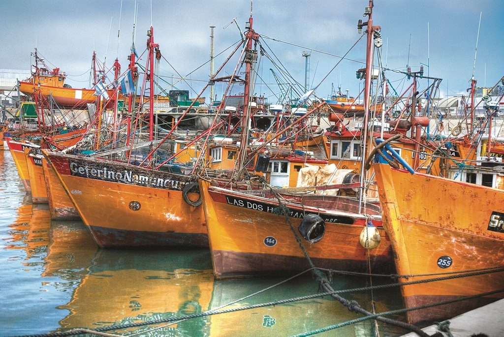 Lanchas Amarillas - Barcas ancladas en el Puerto de Mar del Plata