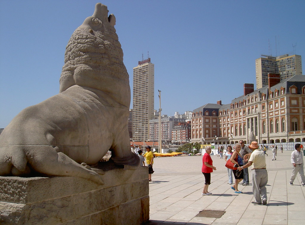 itMarDelPlata - Lobo Marino