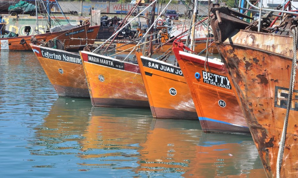 San Antonino II - Puerto De Mar Del Plata Ahora