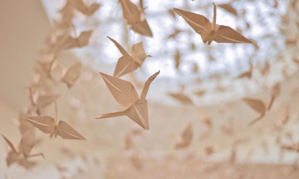 Origami - Paper Cranes. Photocredit David Yu.