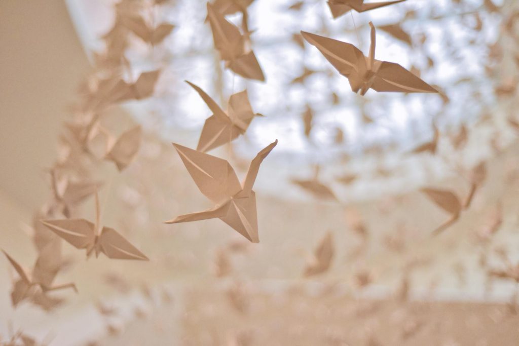 Origami - Paper Cranes. Photocredit David Yu.
