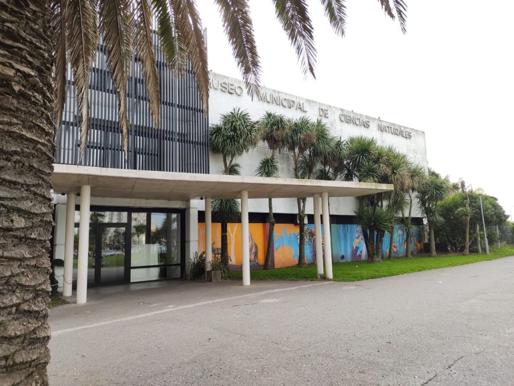 Museo de Ciencias - Museo Scaglia.