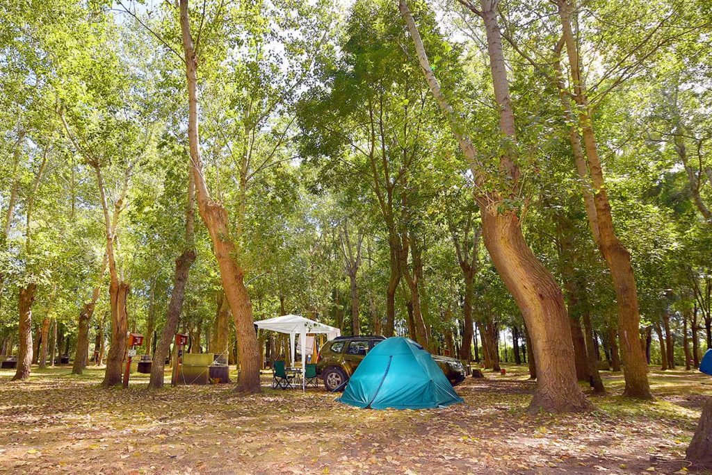 Acampar - Camping.