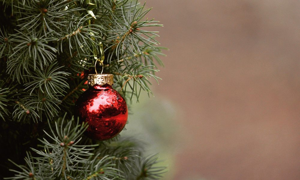 Árbol - Arbol De Navidad En Mar Del Plata.