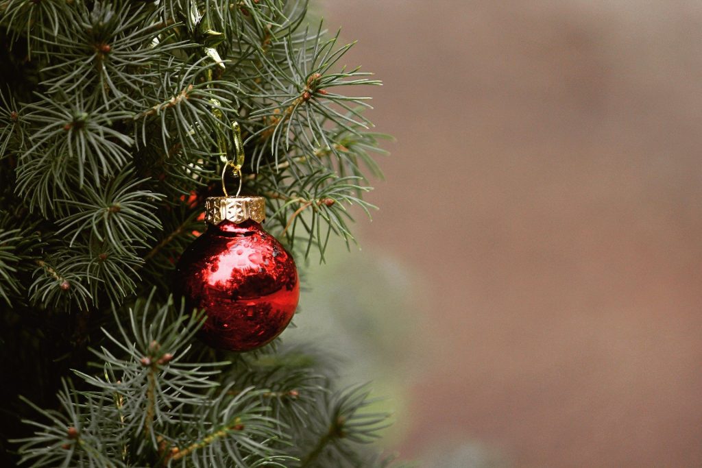 Árbol - Arbol De Navidad En Mar Del Plata.