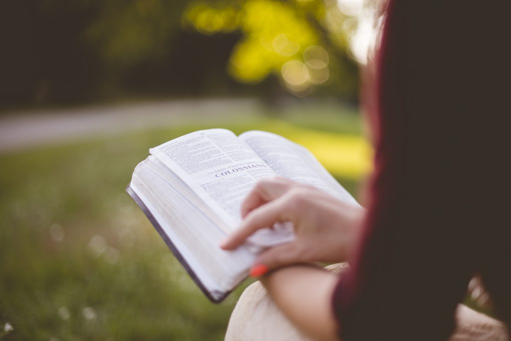 Bookfluencers - Lectura De Libros Influencers.