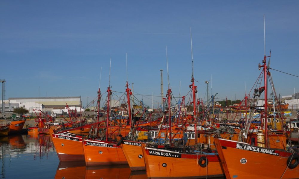 Puerto De Mar Del Plata - Lanchas Amarillas