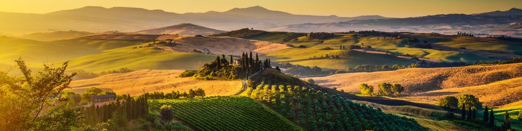 Dolce far niente - Tuscany Landscape Panorama At Sunrise, Val D'orcia, Italy