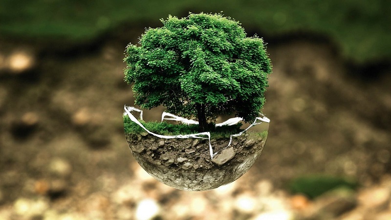 ambiente - Arbol En El Mundo