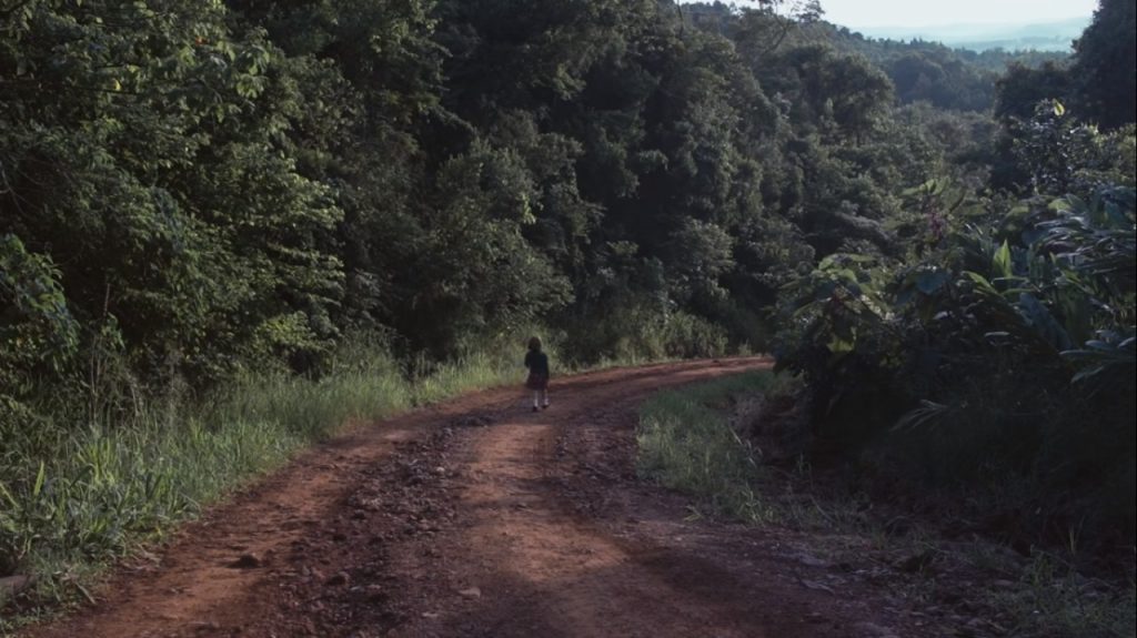 documentales - Caminos