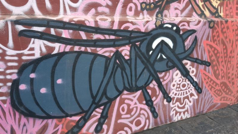 Horacio Quiroga - Hormiga recreada en grafiti