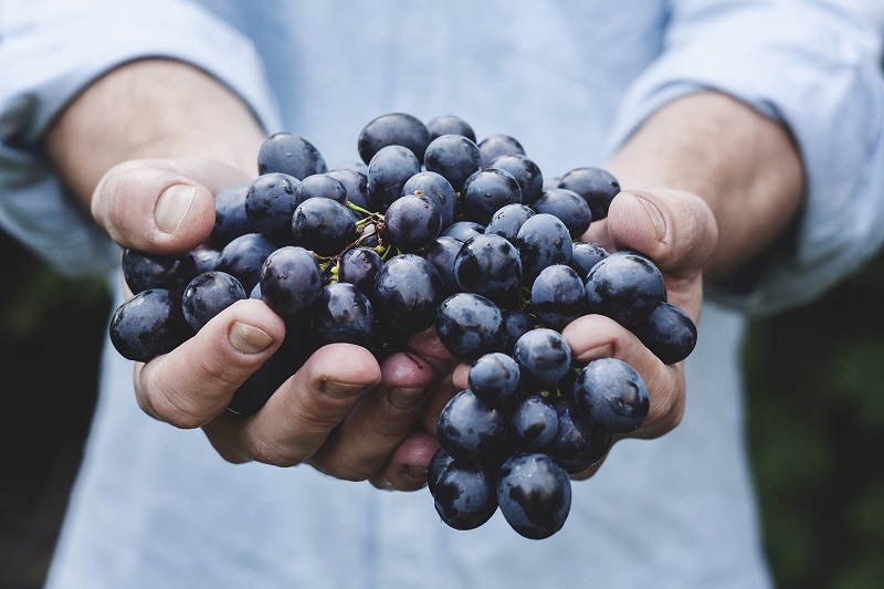 sostenible - Uvas