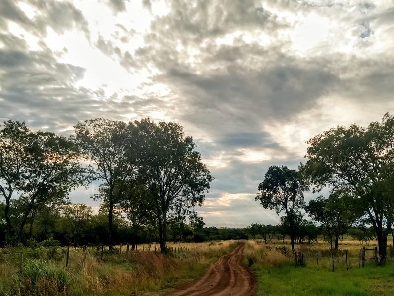 Cerro - Paisaje
