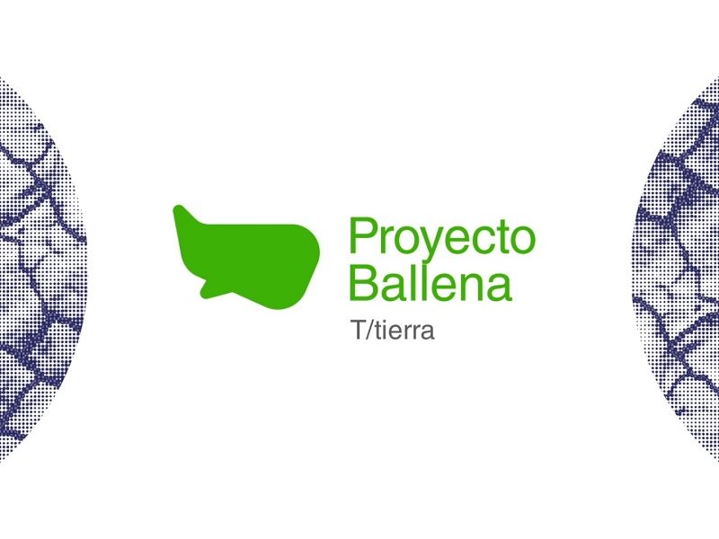 Proyecto - Ballena