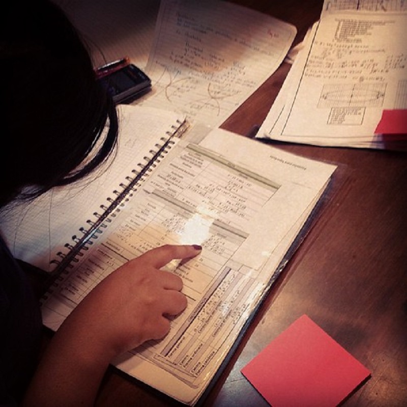 Ada Lovelace - Mujer Estudiando