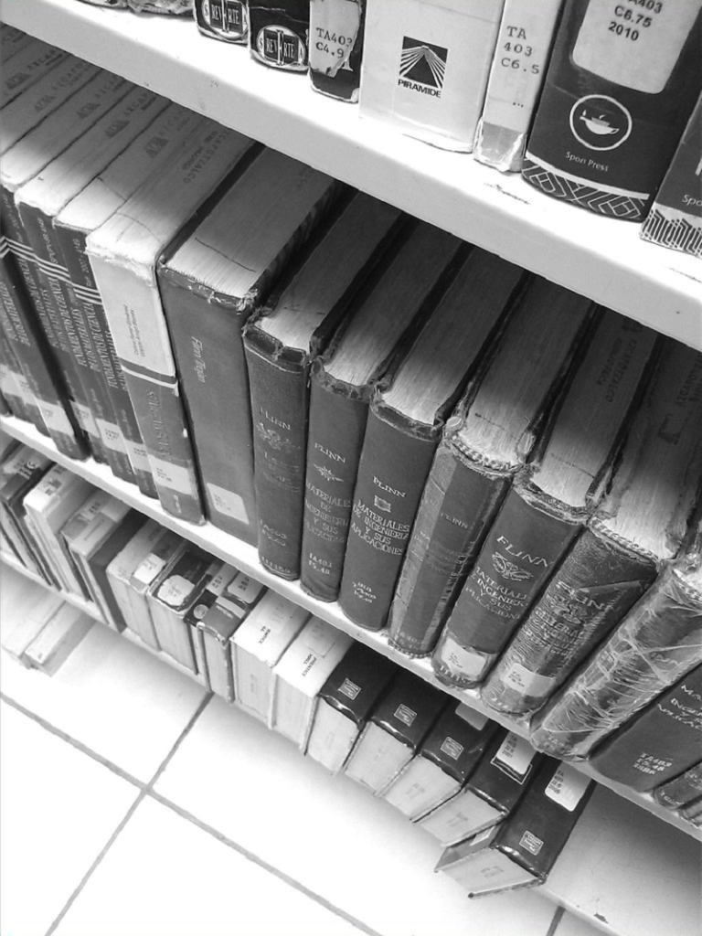 Mes del libro - Estante De Libros En Blanco Y Negro