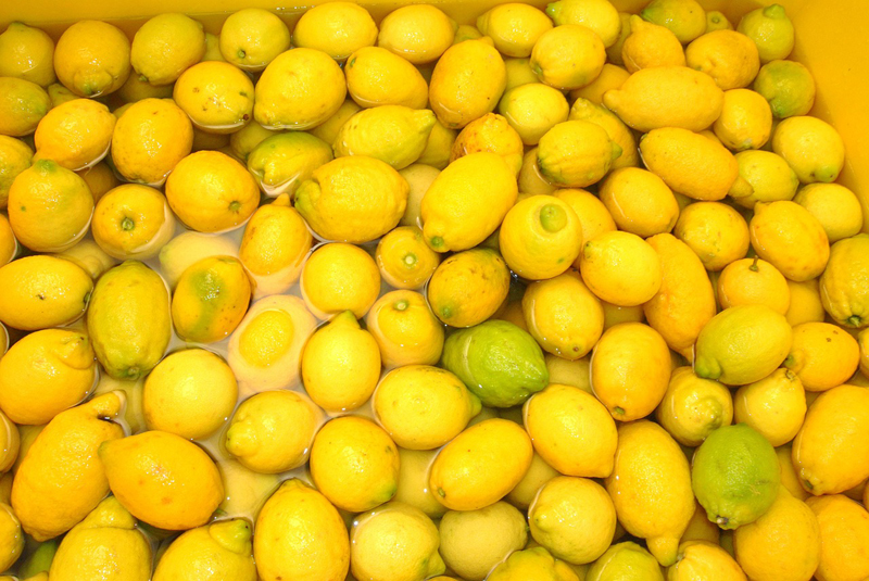 Limoncello - Limones