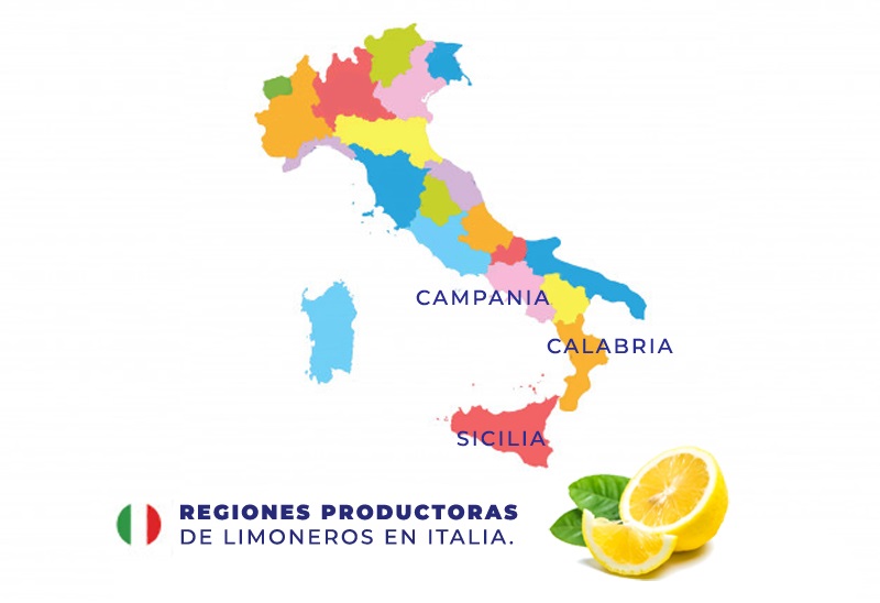 Limoncello - Regiones