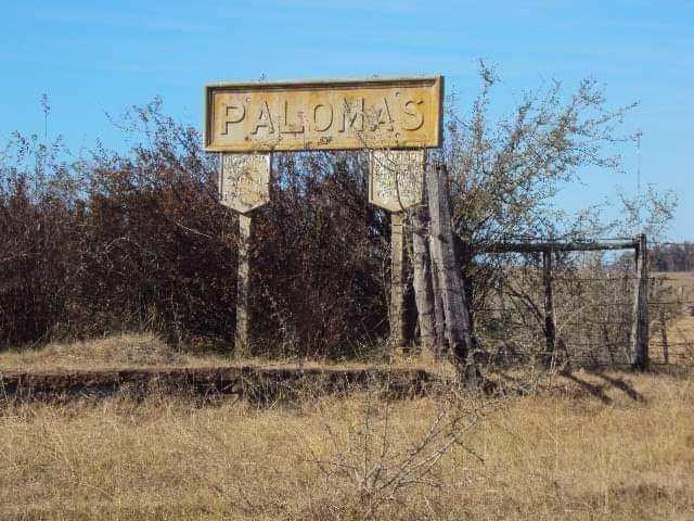 Historia - Palomas