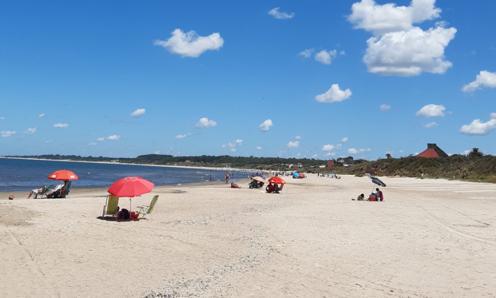 aguavivas - Costa Del Este De Uruguay