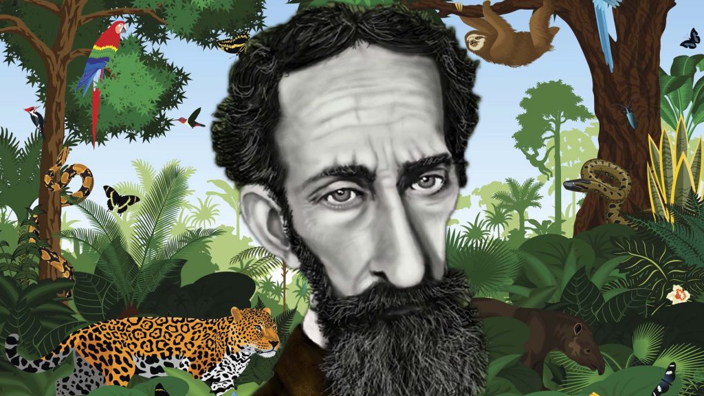 Quiroga - Selva